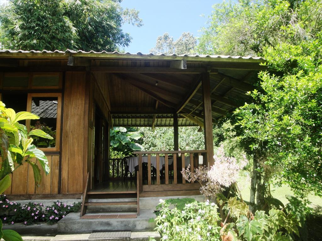 Gardenia Country Inn Tomohon Номер фото